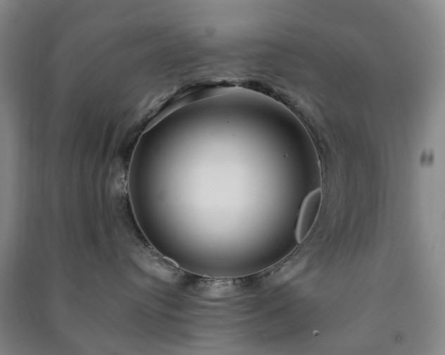 X0000091240384200708161741