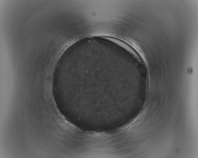 X0000091240385200708161740