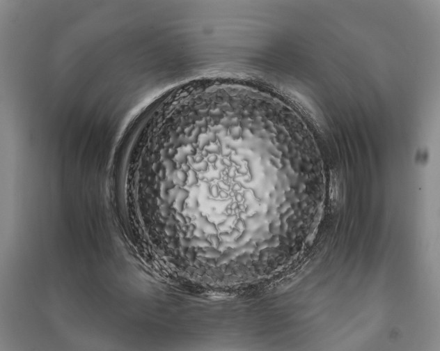 X0000091240388200708161740
