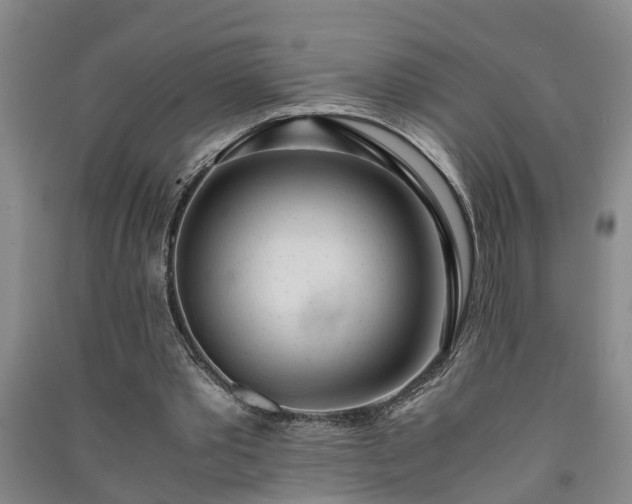 X0000091240389200708161740