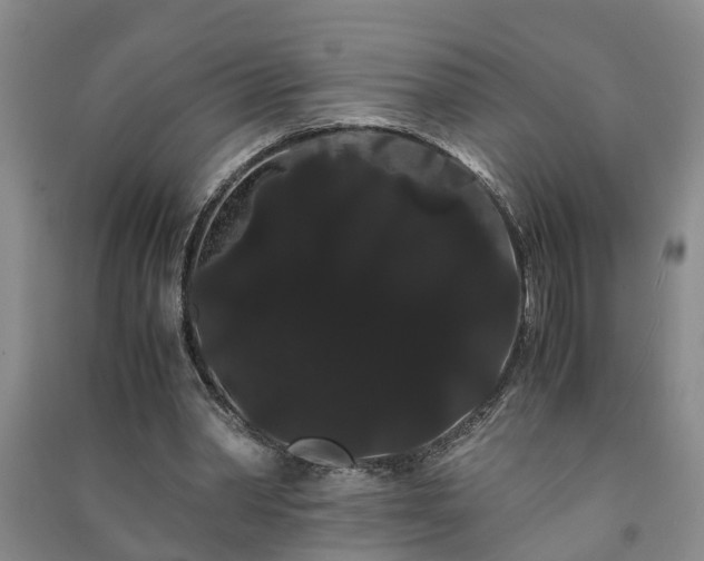 X0000091240390200708161740