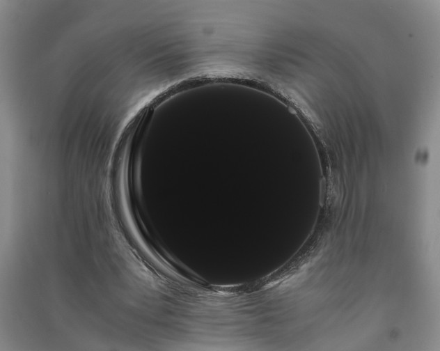X0000091240391200708161740