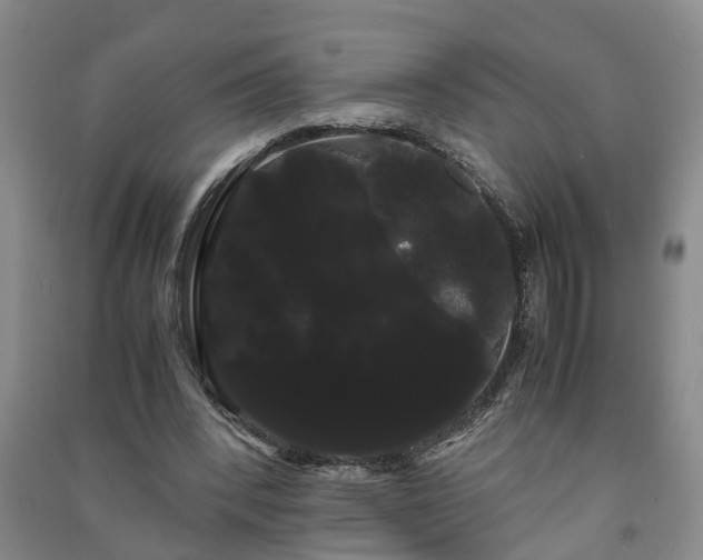 X0000091240392200708161740