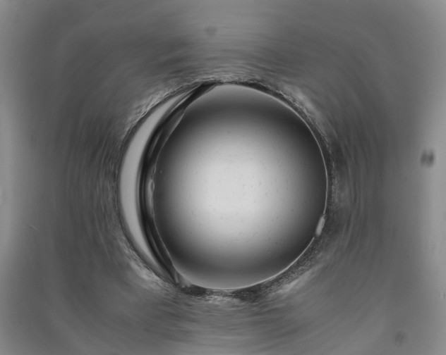 X0000091240393200708161740