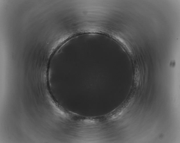 X0000091240394200708161740