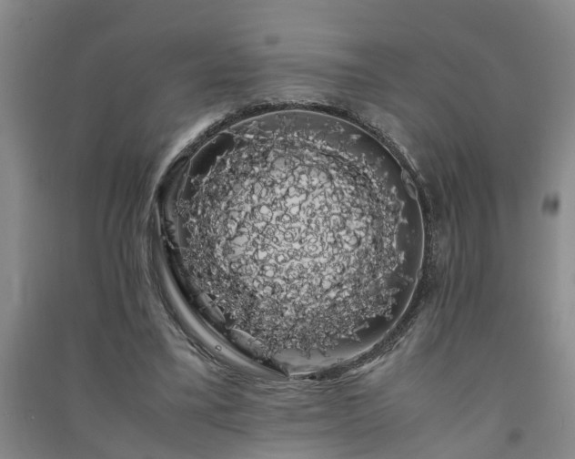 X0000091240395200708161740