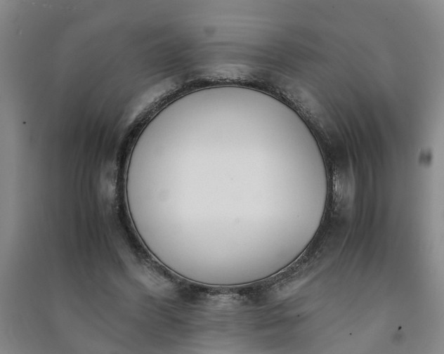 X0000091240396200708161740