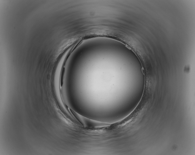 X0000091240397200708161740