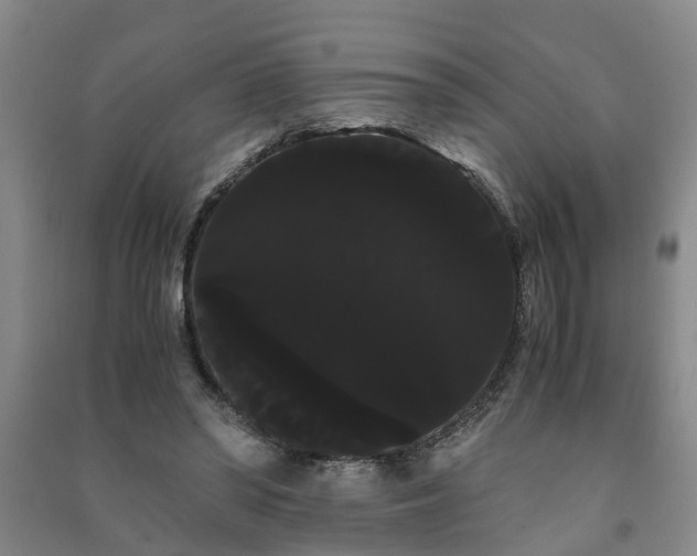 X0000091240398200708161740