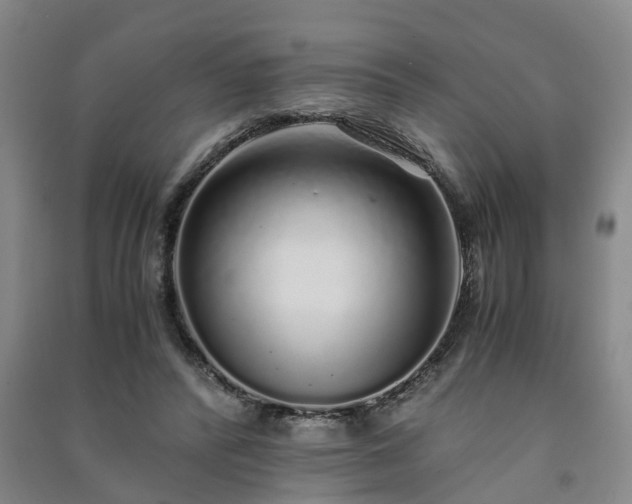 X0000091240400200708161740
