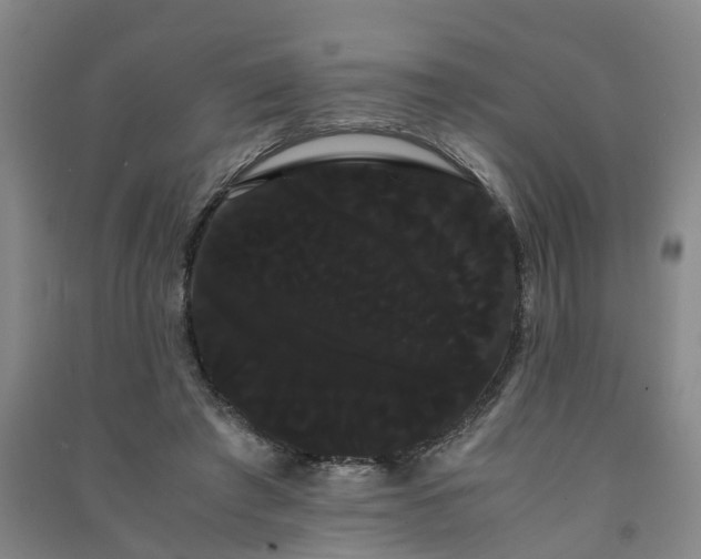 X0000091240401200708161740
