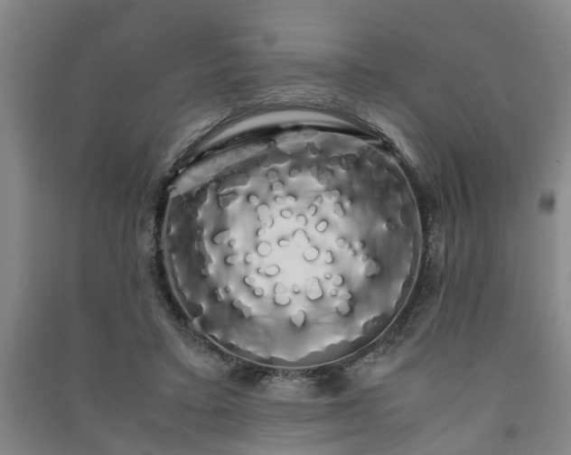 X0000091240403200708161740