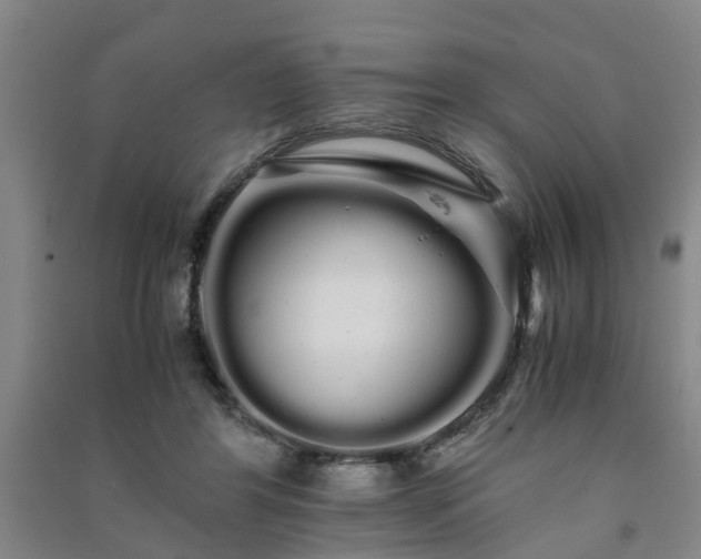 X0000091240404200708161740
