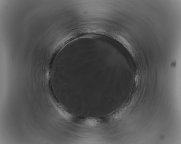 X0000091240405200708161740