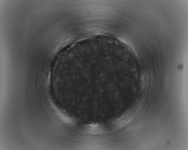 X0000091240406200708161740