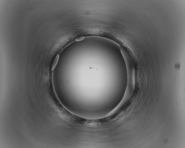 X0000091240407200708161740