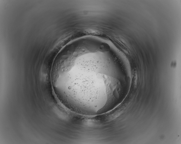 X0000091240408200708161740