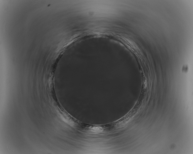 X0000091240409200708161740