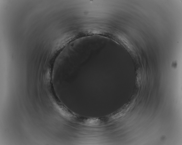 X0000091240410200708161740