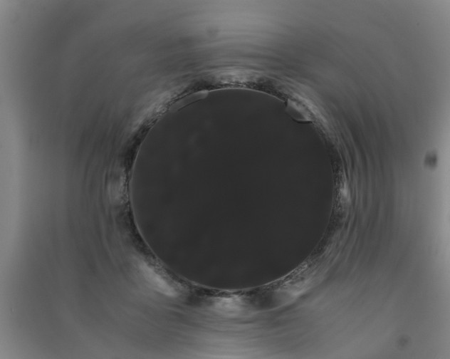 X0000091240411200708161740