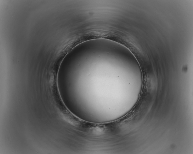 X0000091240412200708161740