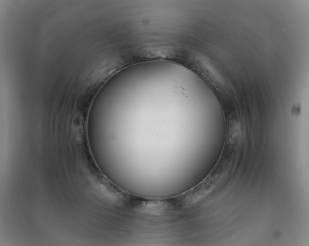 X0000091240414200708161740