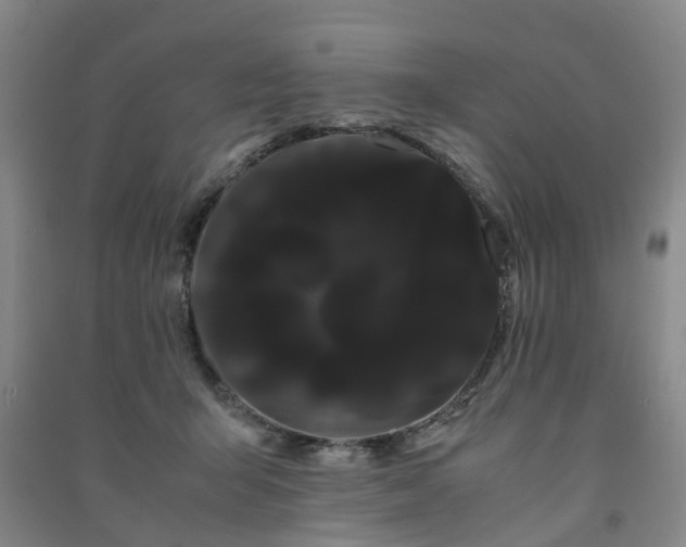 X0000091240415200708161740