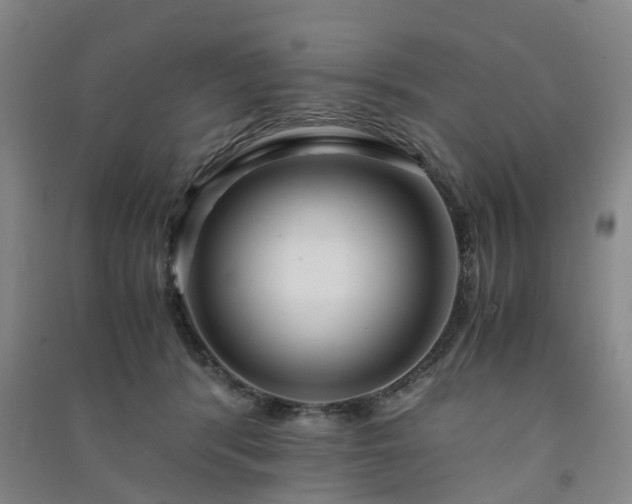 X0000091240416200708161740