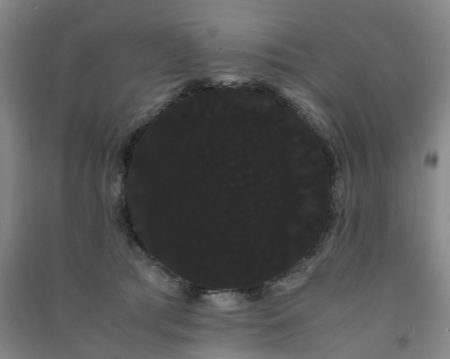 X0000091240417200708161740