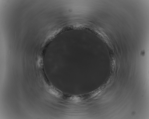 X0000091240419200708161740