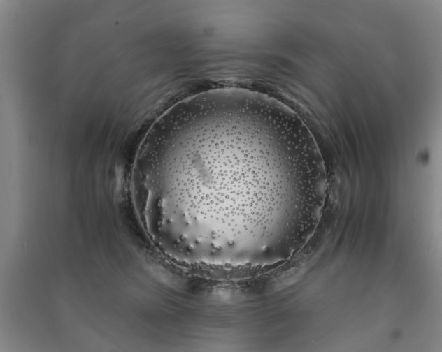 X0000091240420200708161740