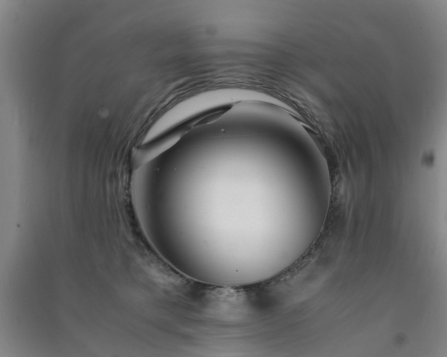 X0000091240421200708161740