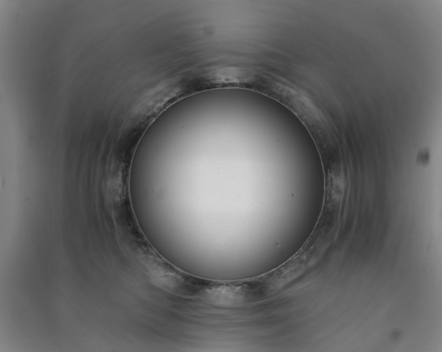 X0000091240422200708161740