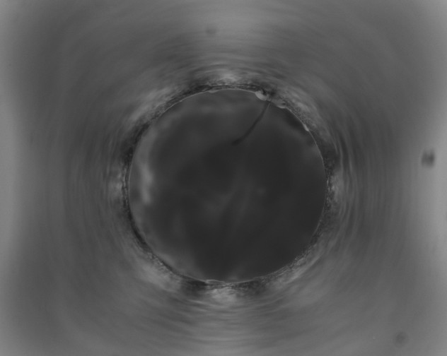 X0000091240423200708161740