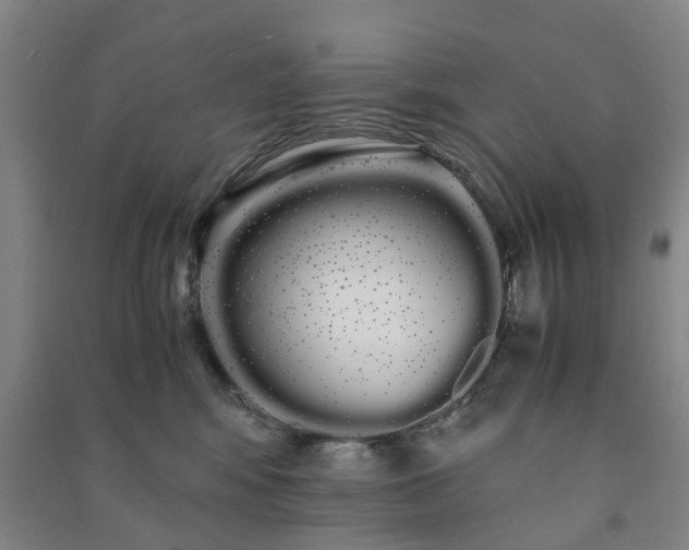 X0000091240424200708161740