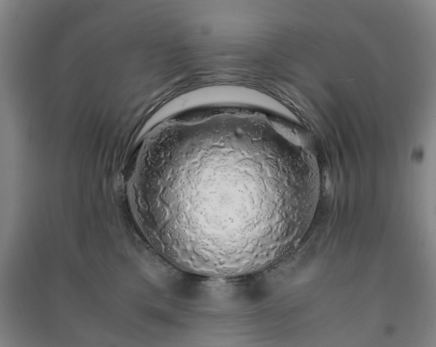 X0000091240425200708161740