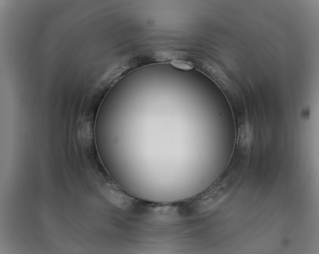 X0000091240426200708161740