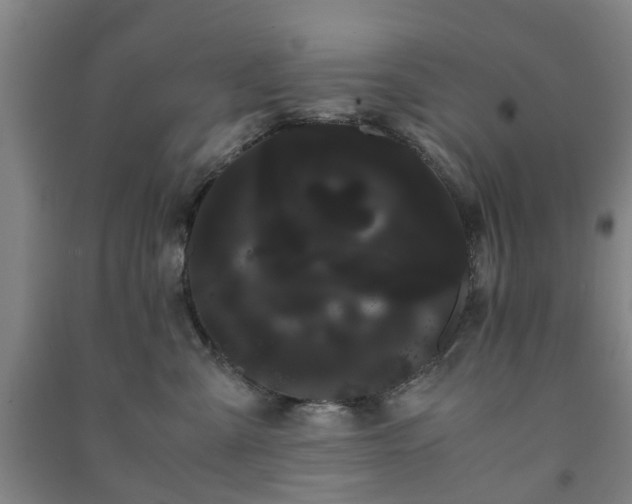 X0000091240427200708161740