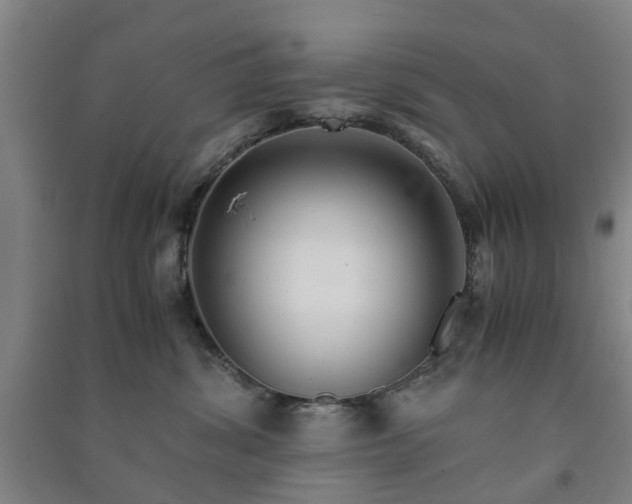X0000091240428200708161740