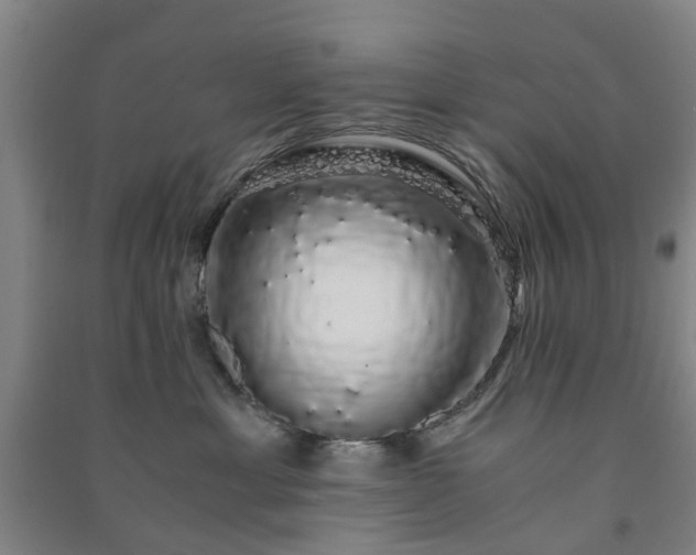 X0000091240429200708161740
