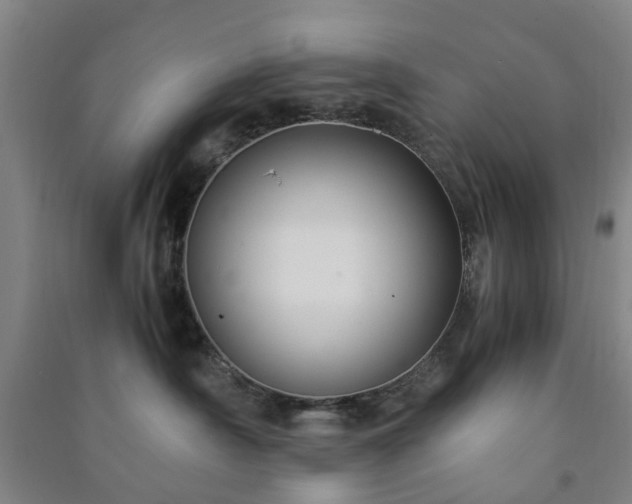 X0000091240430200708161740