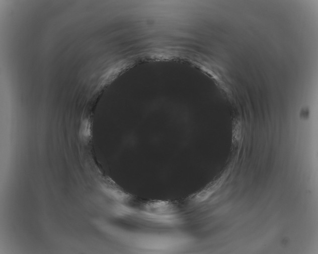 X0000091240431200708161740