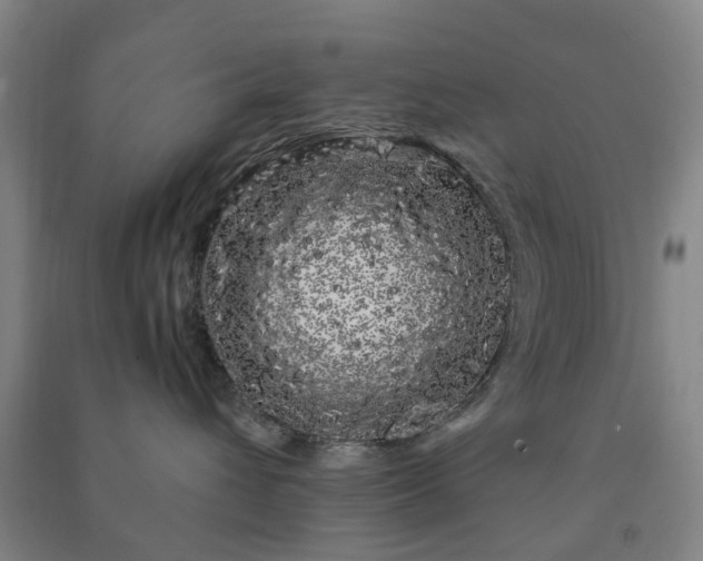 X0000091240432200708161740