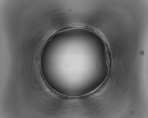 X0000091240433200708161739