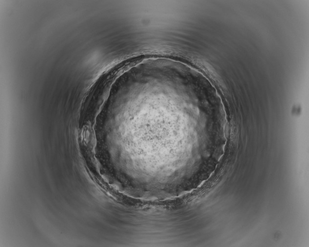 X0000091240434200708161739
