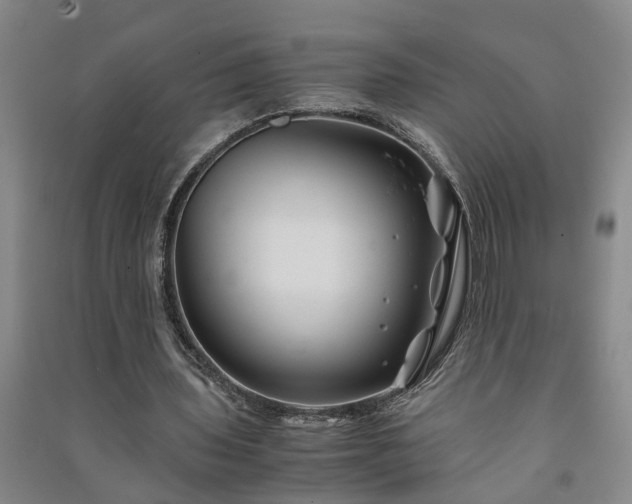 X0000091240435200708161739