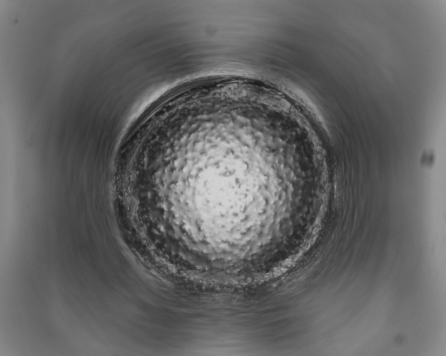 X0000091240436200708161739