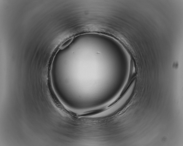 X0000091240438200708161739