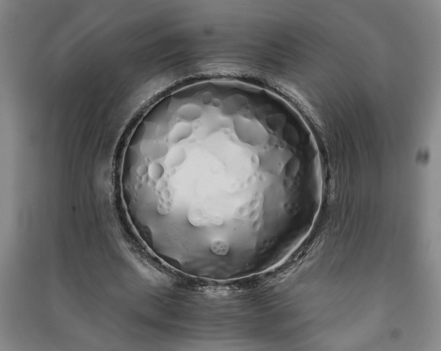 X0000091240439200708161739