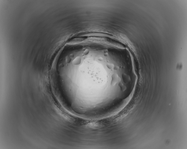 X0000091240441200708161739